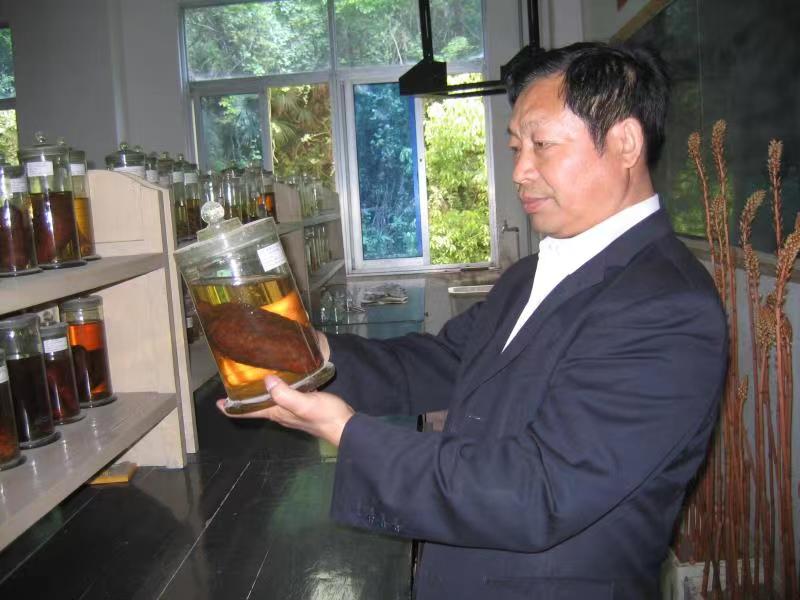 华中食用菌研究所实验室.jpg